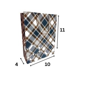 10x11x4 checks Custom and Color Paper Bags