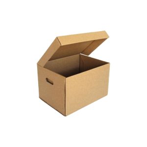 17 X 13 X 10.5 Storage Archive Boxes