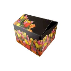 Printed Duplex Corrugated Boxes