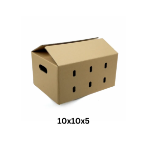 10x10x5 Fruits Boxes