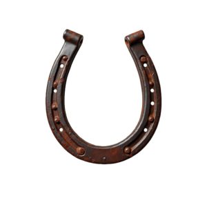 Horse-Shoe.jpg